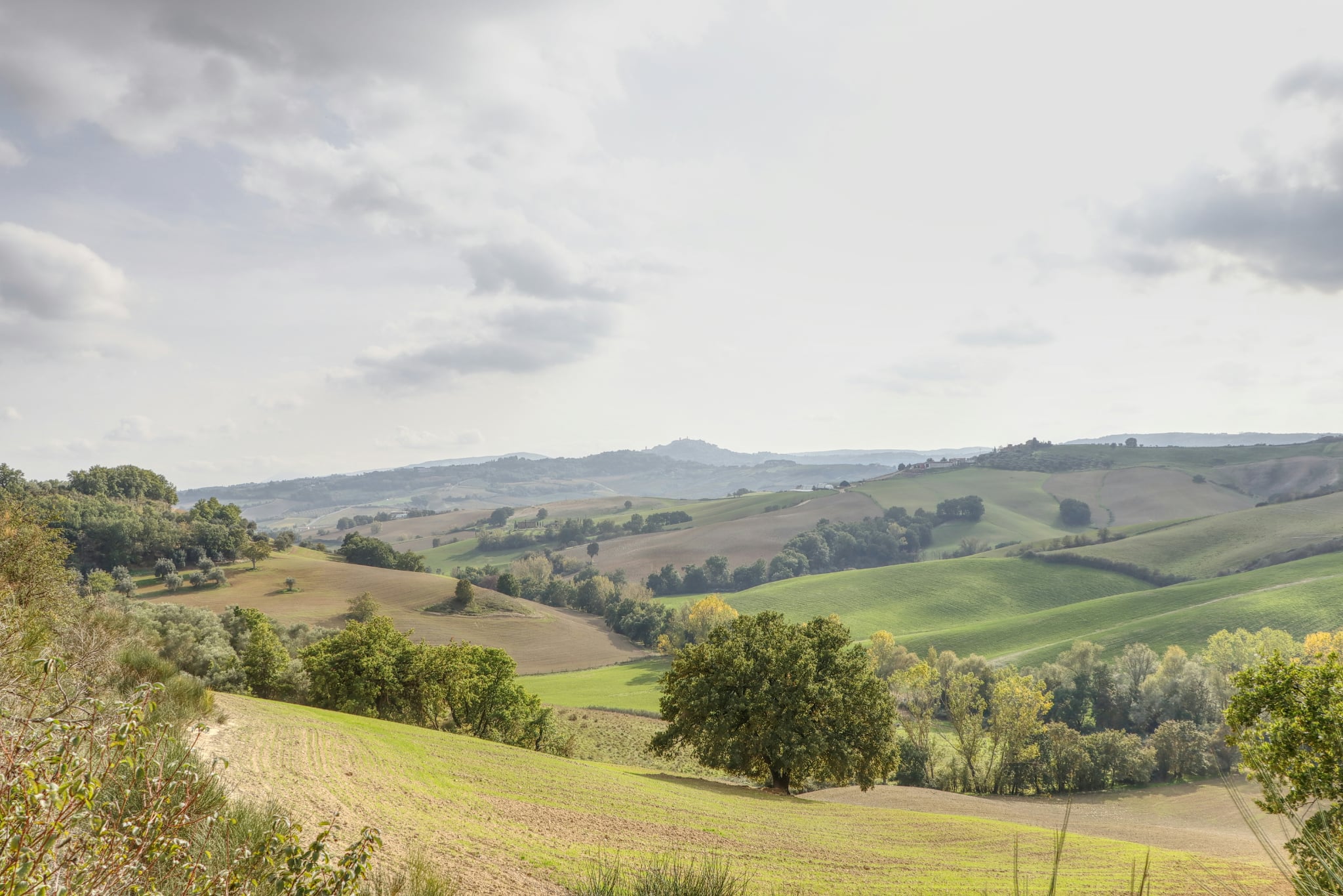 Vinovivo featured image